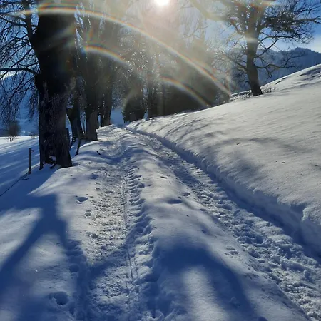 Bio-bauernhof Reitmayrgut Lägenhet Goldegg